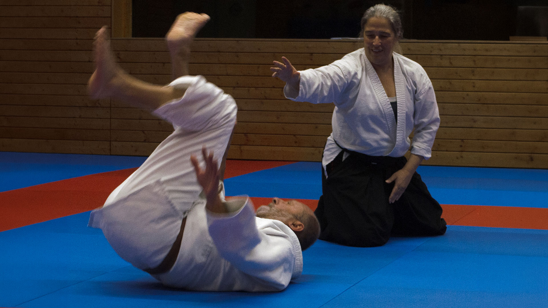 Aikido Technik