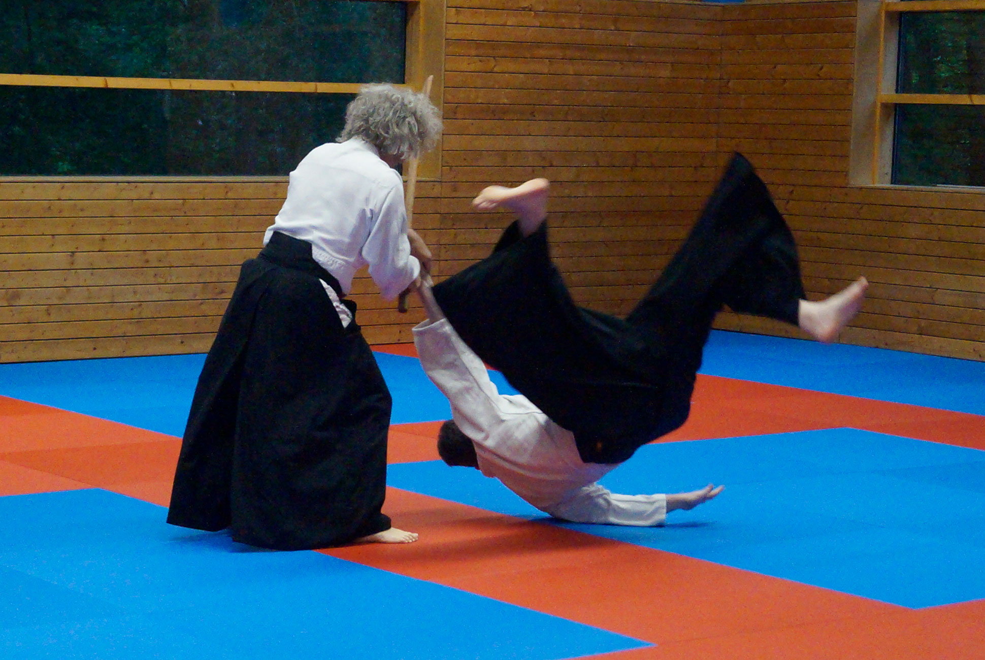 Aikido in Aktion