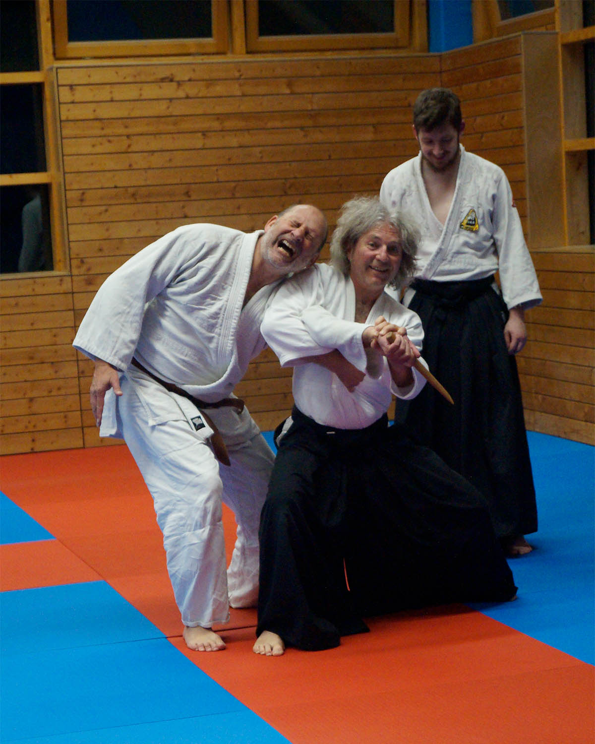 Aikido in Aktion